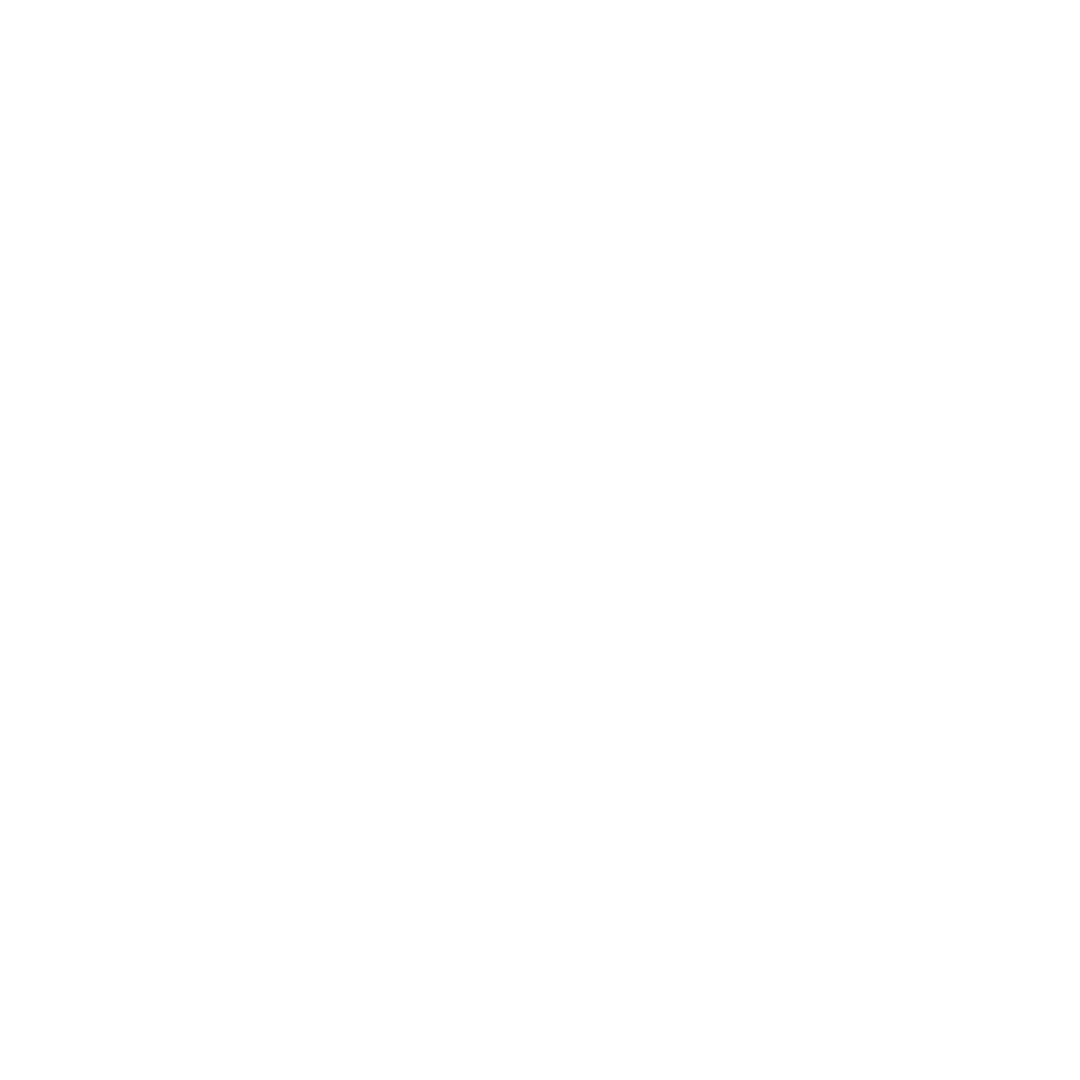 Logo Suvinil
